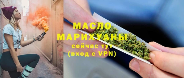 индика Белокуриха