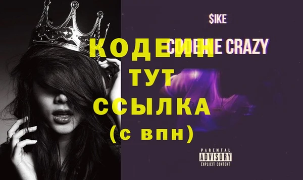 индика Белокуриха
