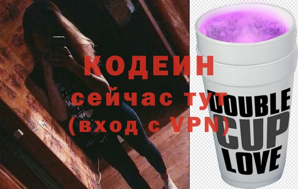 индика Белокуриха