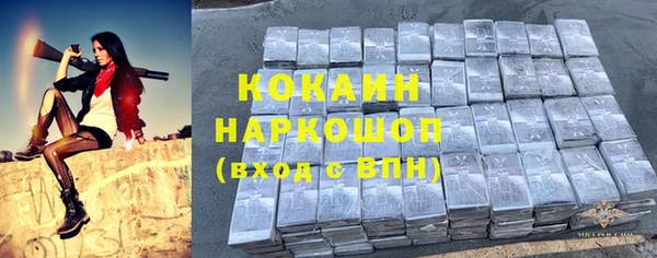 индика Белокуриха