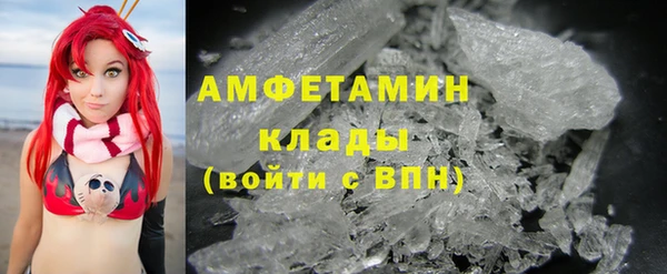 индика Белокуриха