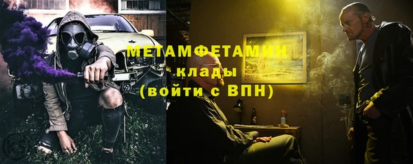 индика Белокуриха