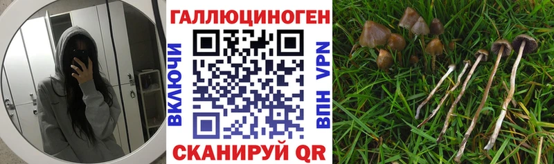 Галлюциногенные грибы ЛСД  Волгореченск 